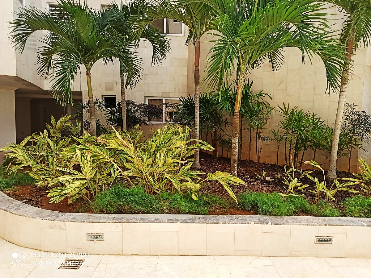 APARTMENT IN JORGE COLL, FOR SALE