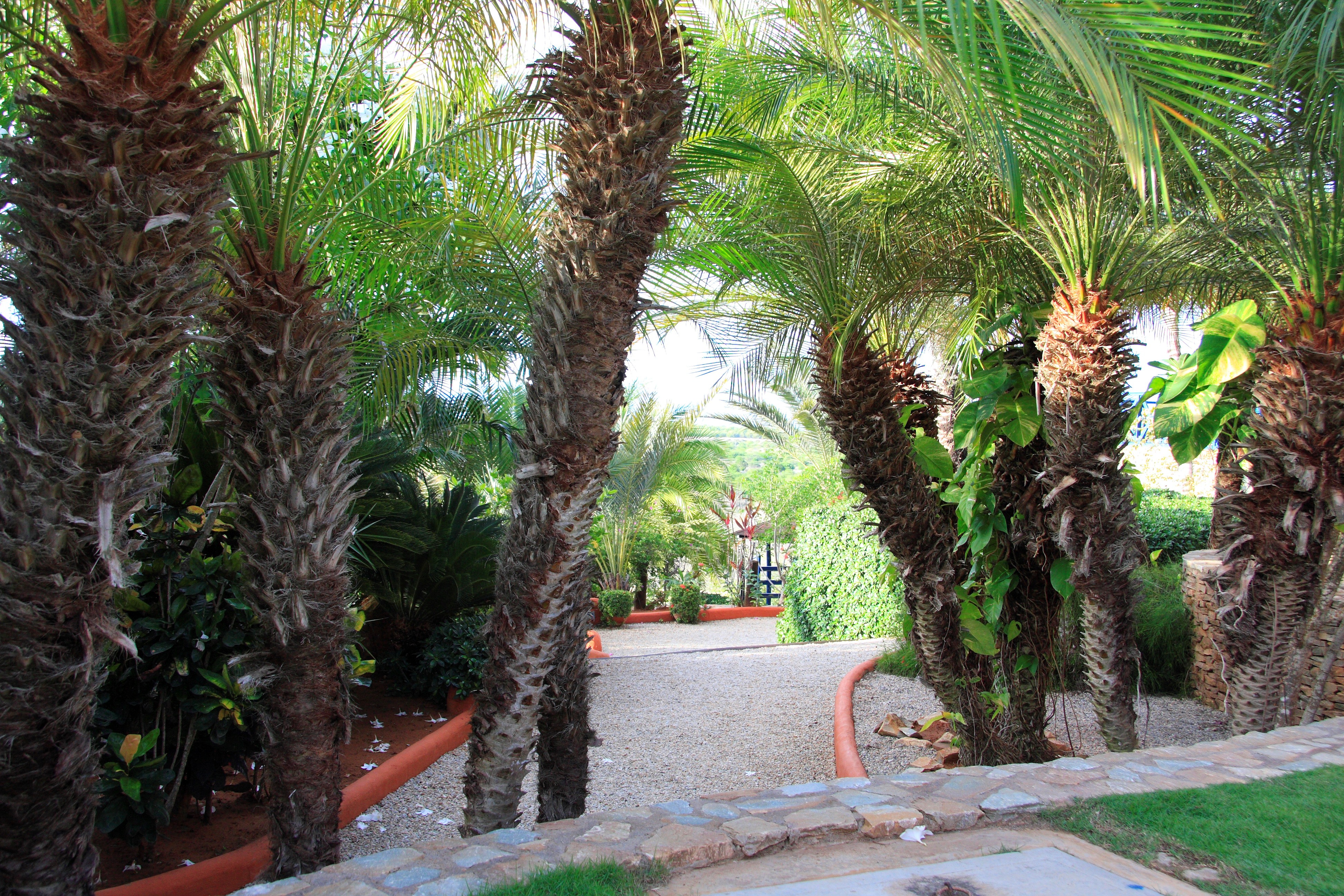 BEAUTIFUL HOUSE FOR SALE IN ZONA ESTE URB CASA DE CAMPO COUNTRY CLUB