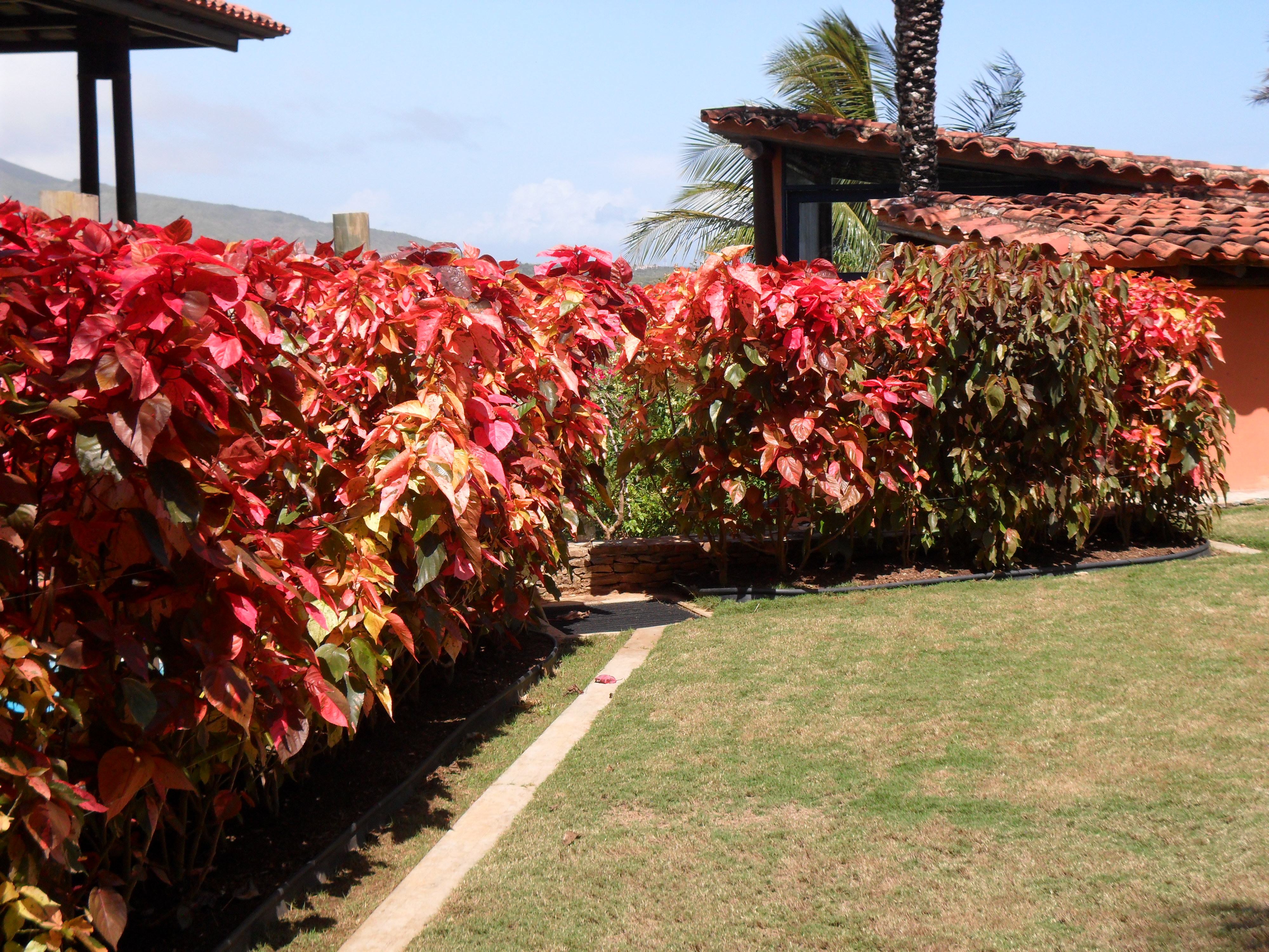 BEAUTIFUL HOUSE FOR SALE IN ZONA ESTE URB CASA DE CAMPO COUNTRY CLUB