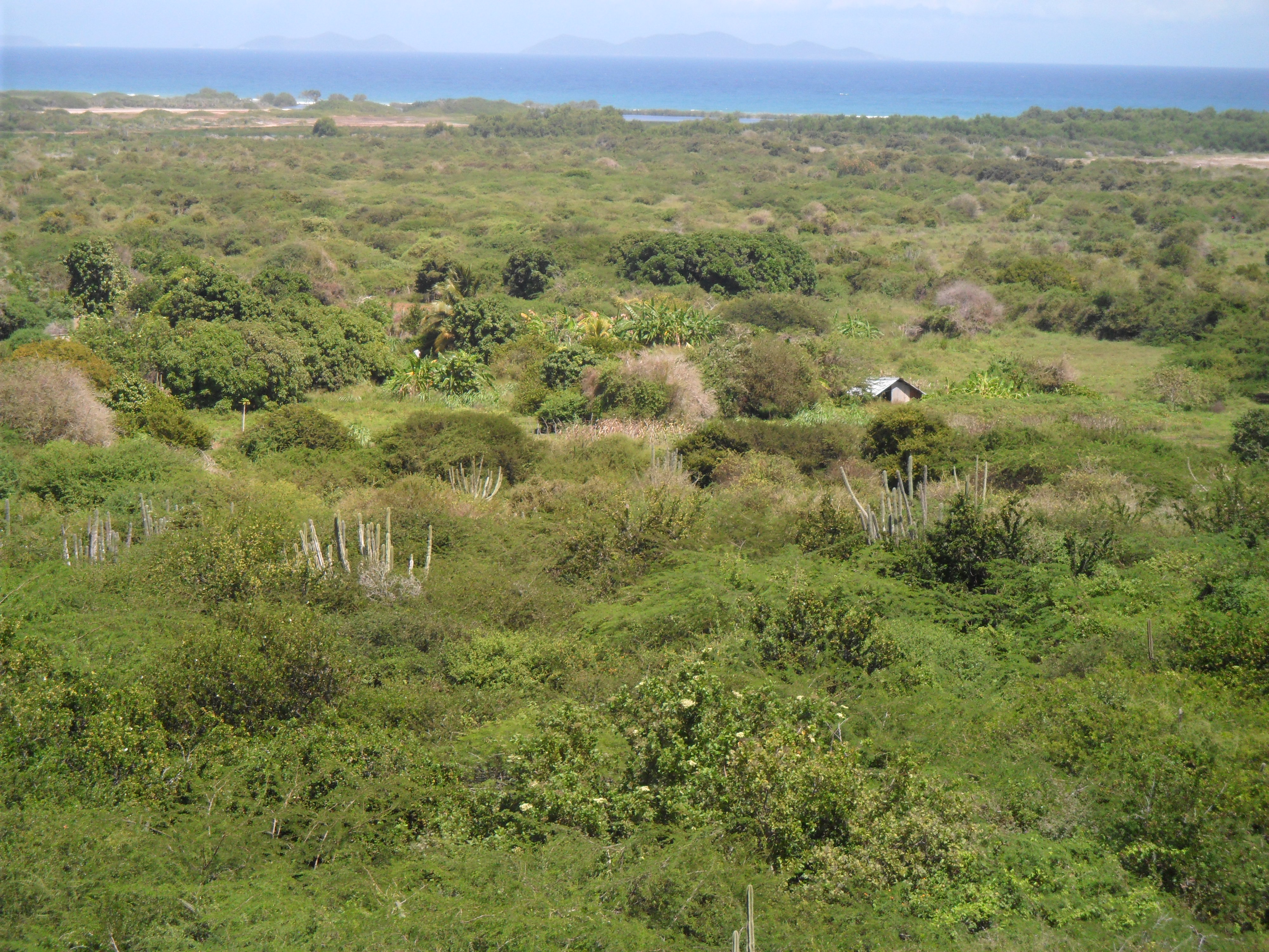 BEAUTIFUL HOUSE FOR SALE IN ZONA ESTE URB CASA DE CAMPO COUNTRY CLUB