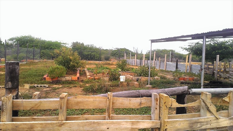 HACIENDA OR ESTATE IN LOS GOMEZ FOR SALE