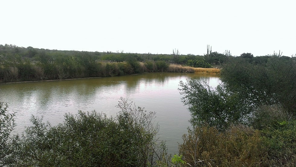 HACIENDA OR ESTATE IN LOS GOMEZ FOR SALE