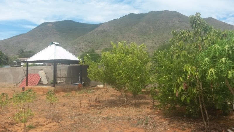 LAND WITH POTENTIAL, IN CATALAN SECTOR, FOR SALE