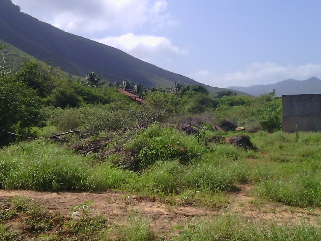 LAND FOR SALE, IN ANTOLIN DEL CAMPO