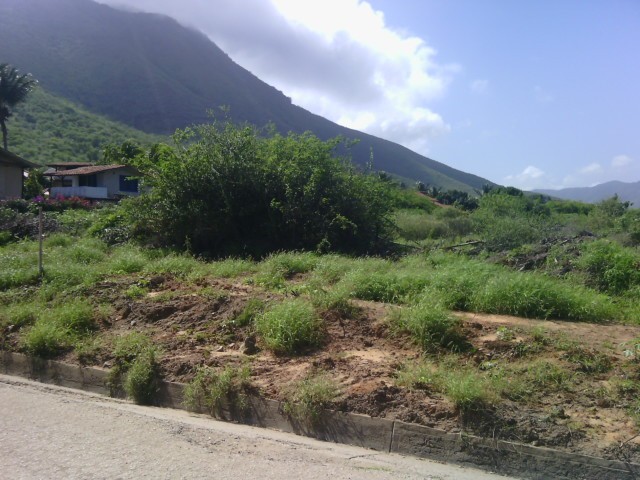 LAND FOR SALE, IN ANTOLIN DEL CAMPO