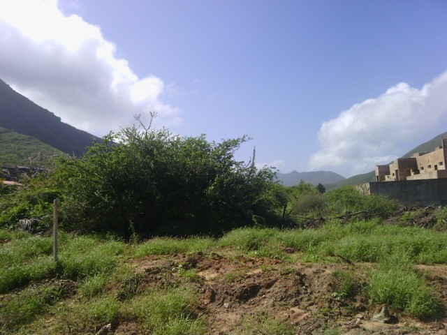 LAND FOR SALE, IN ANTOLIN DEL CAMPO