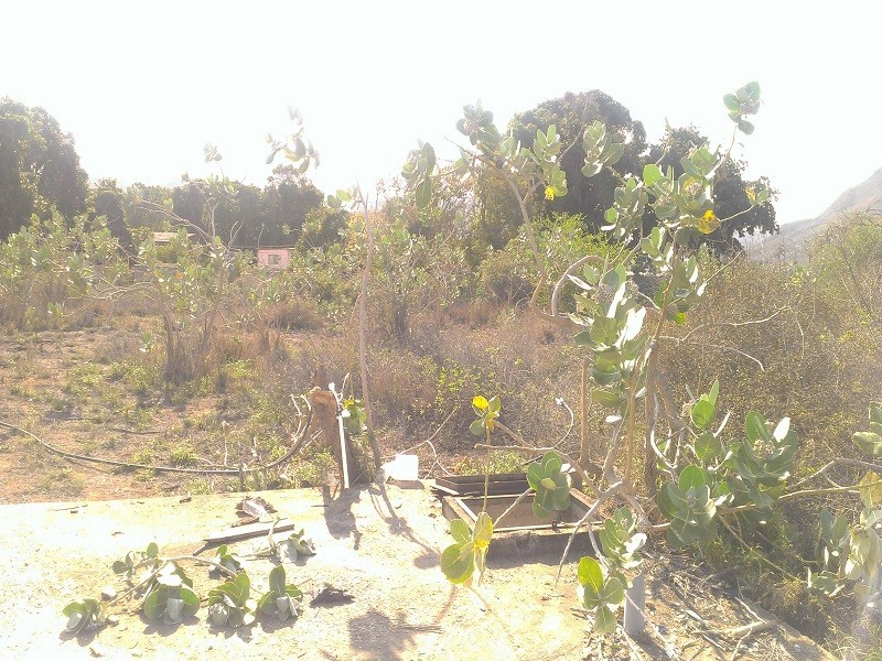 EXCELENTE TERRENO EN VENTA  EN MARGARITA AV. LUISA CACERES DE ARISMENDI