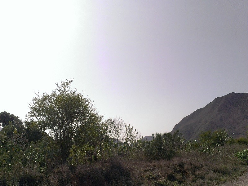 EXCELENTE TERRENO EN VENTA  EN MARGARITA AV. LUISA CACERES DE ARISMENDI