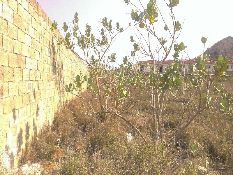 EXCELENTE TERRENO EN VENTA  EN MARGARITA AV. LUISA CACERES DE ARISMENDI