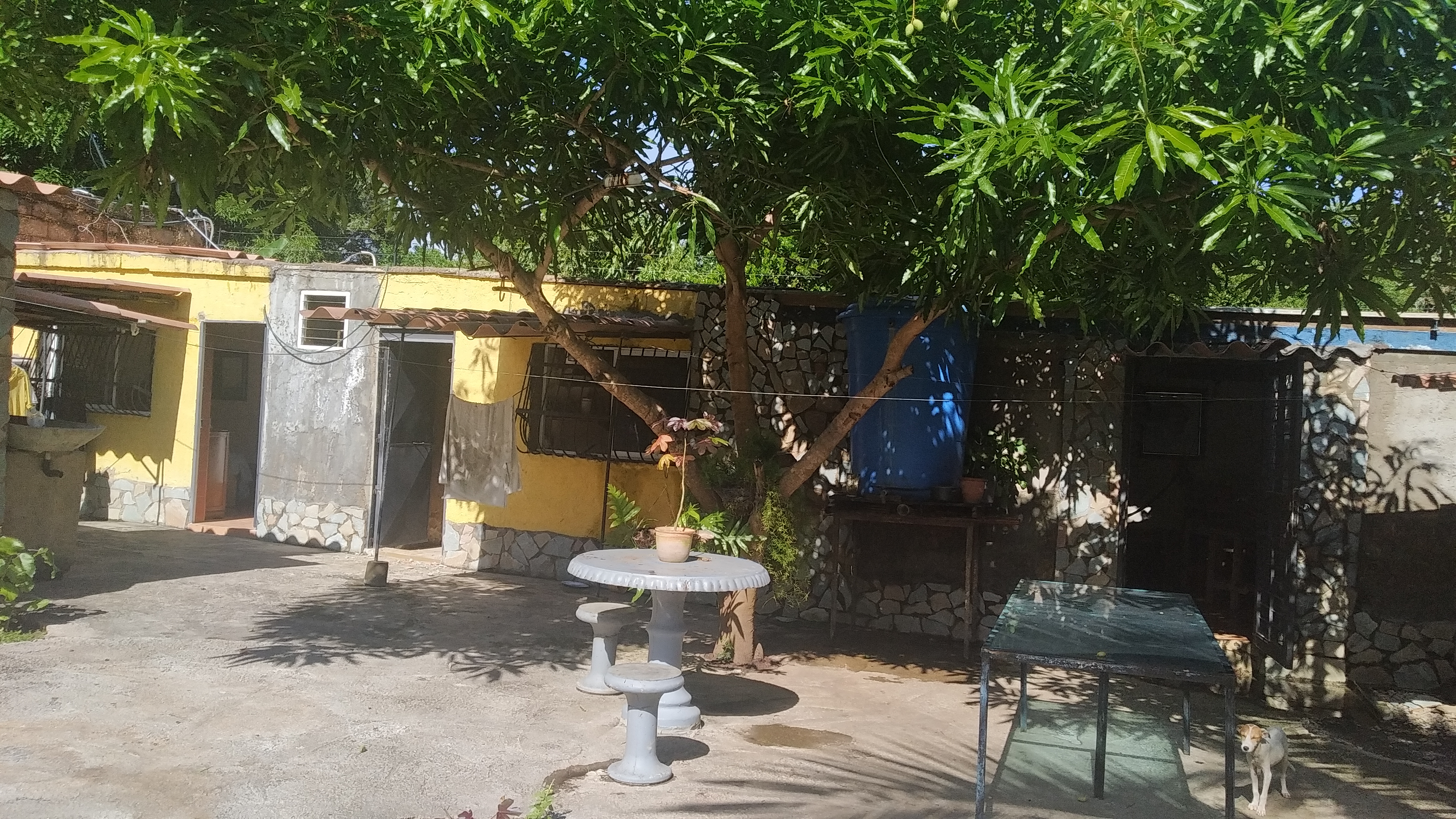 LANDS WITH GOODNESS FOR SALE, IN THE ESPIRITU SANTO VALLEY