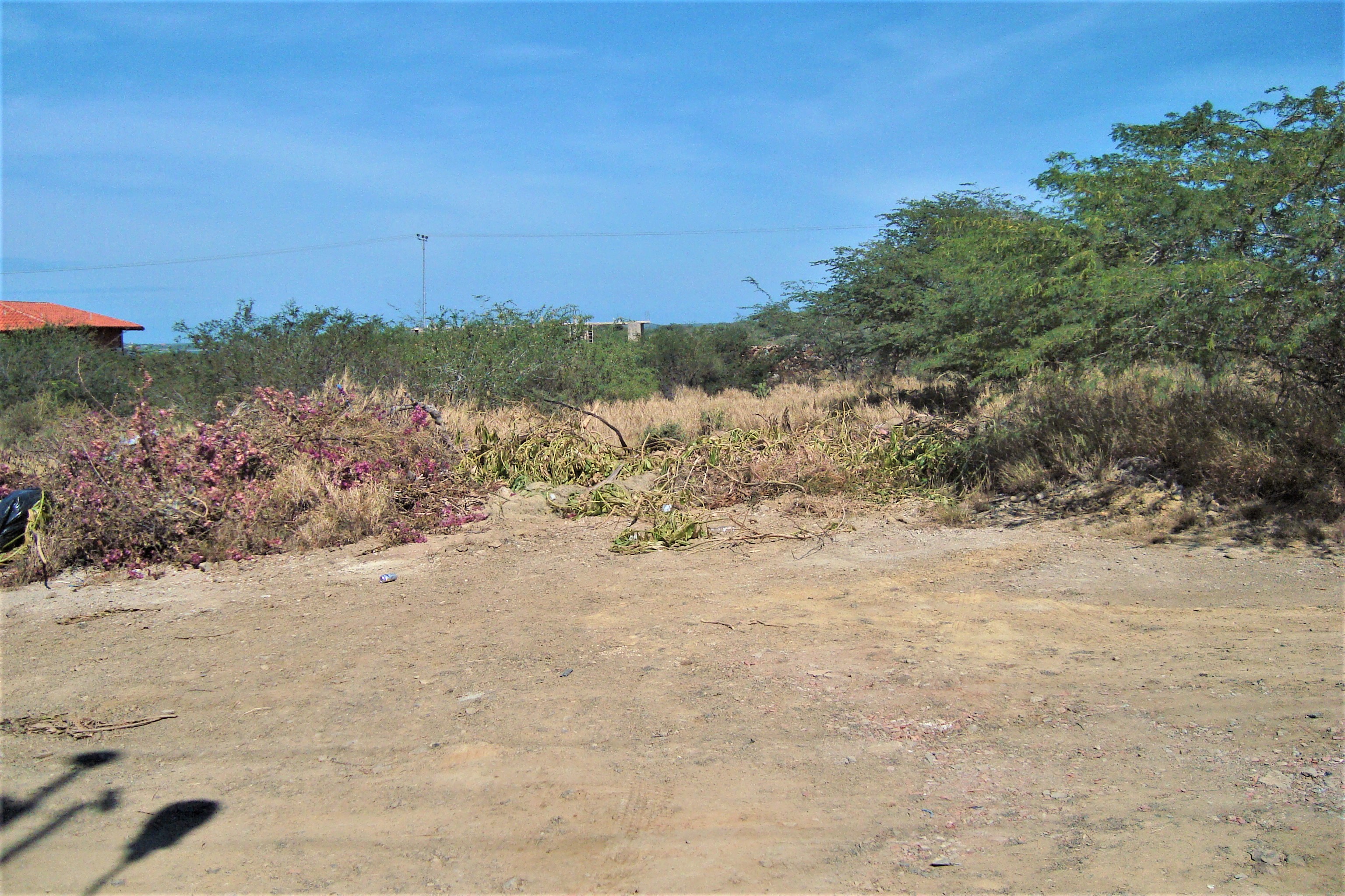 TERRENO EN VENTA EN EL YAQUE