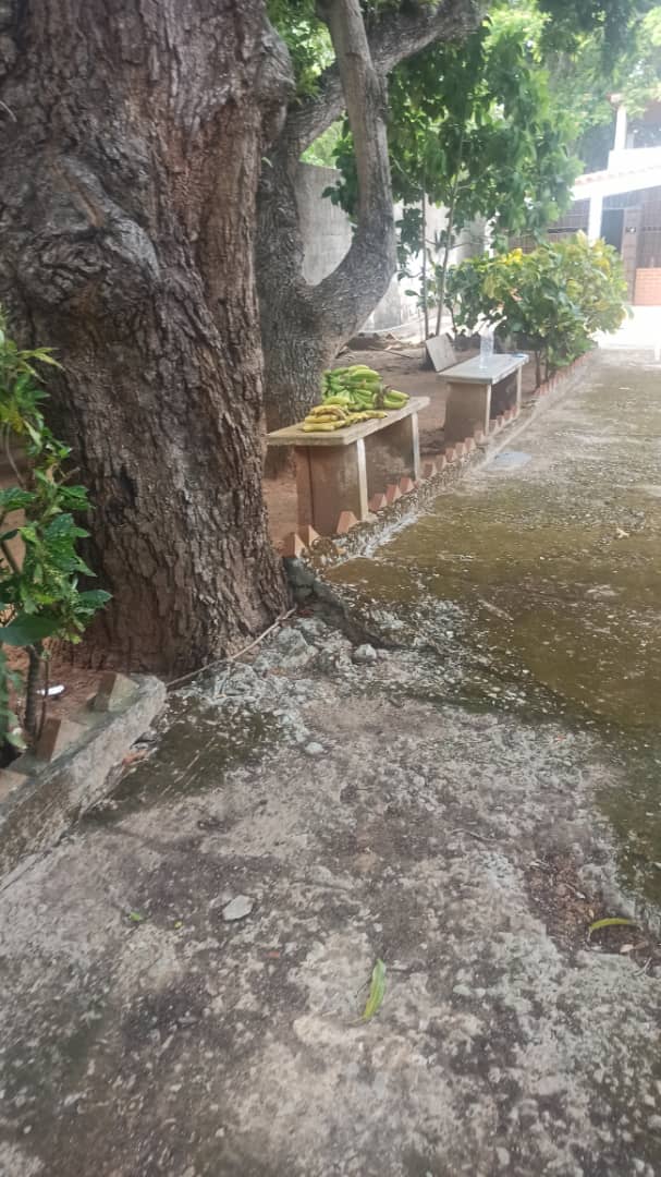 HOUSE TO REMODE IN LA GUARINA, LA ASUNCION, FOR SALE