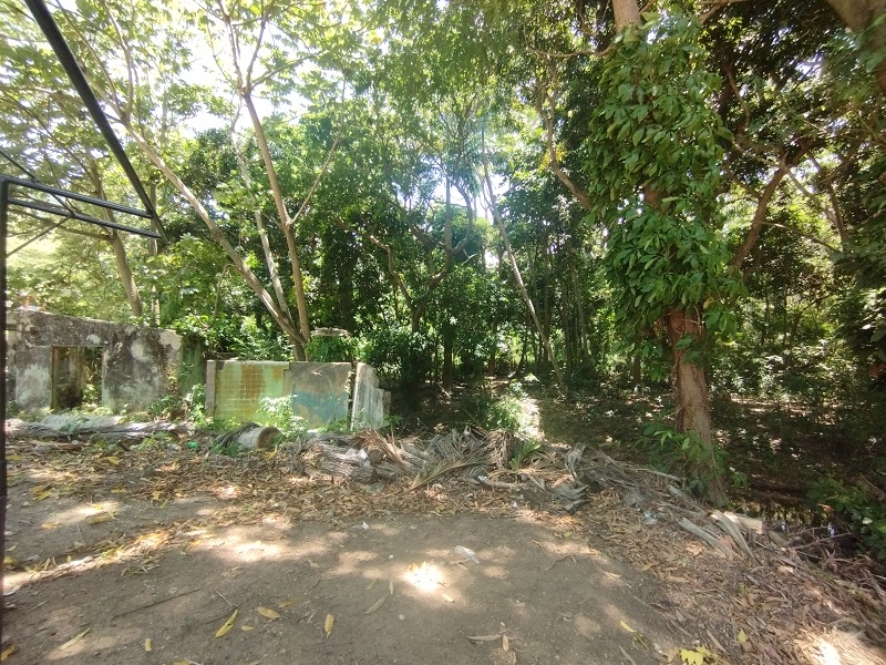 TERRENO EN VENTA EN LA ASUNCIÓN SECTOR EL COPEY