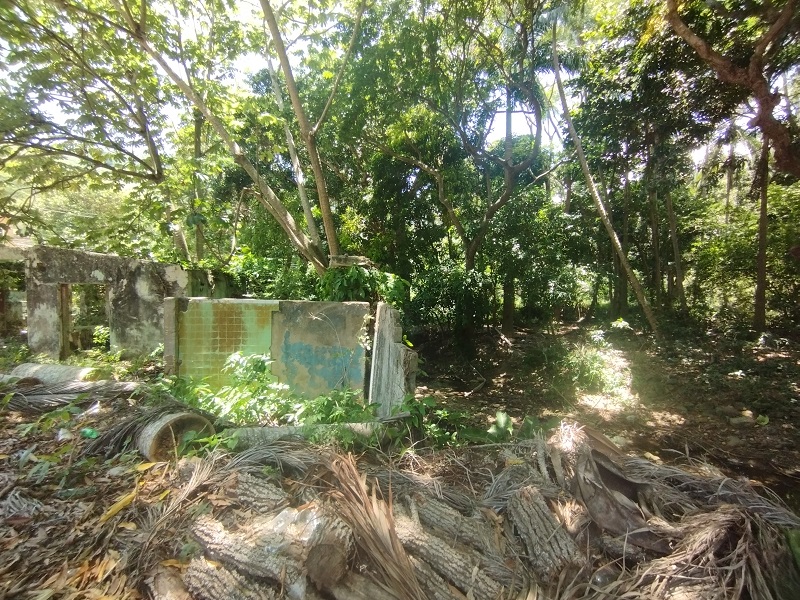 TERRENO EN VENTA EN LA ASUNCIÓN SECTOR EL COPEY