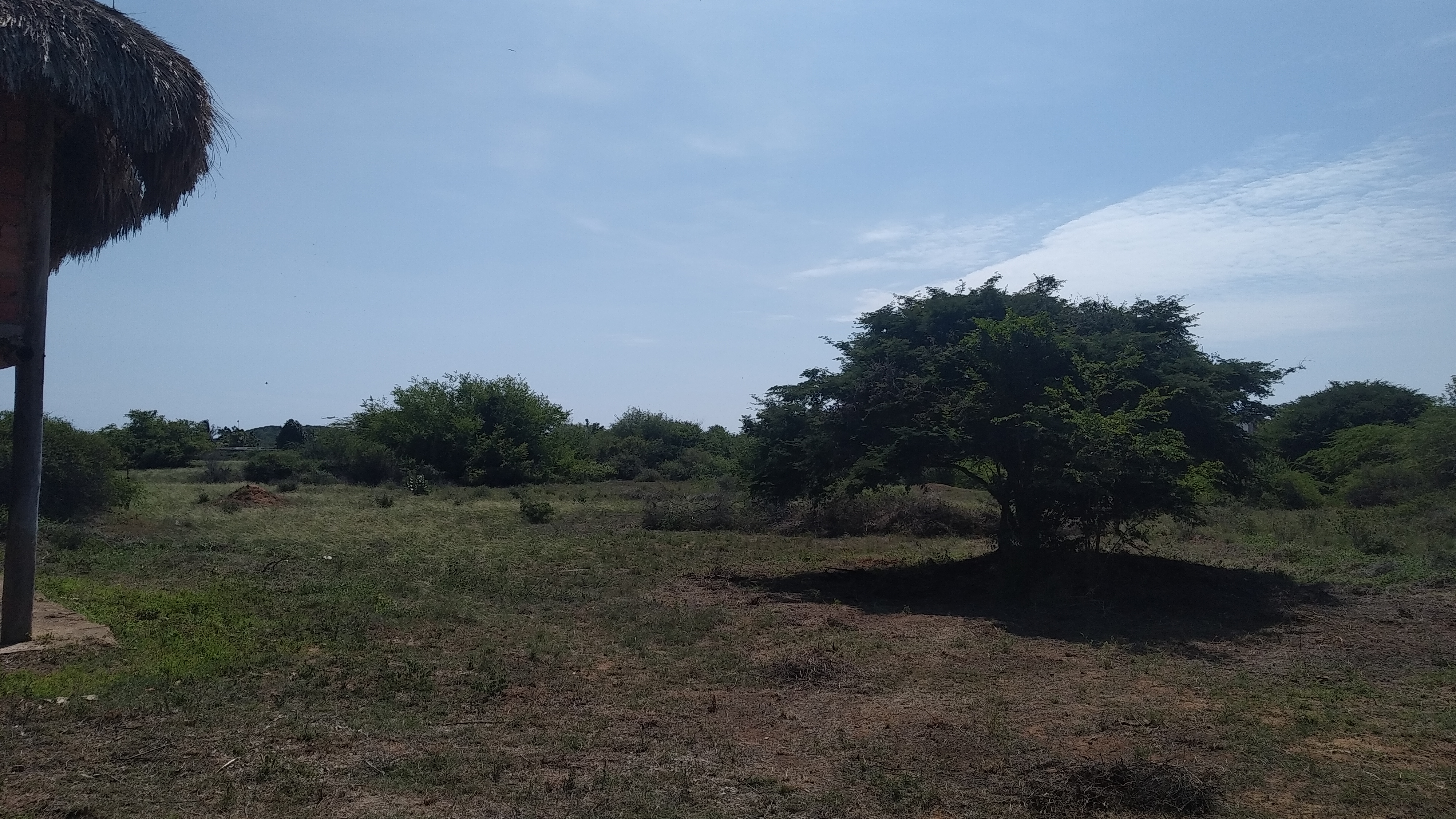 LAND WITH GOODNESS, IN LA MIRA SECTOR.