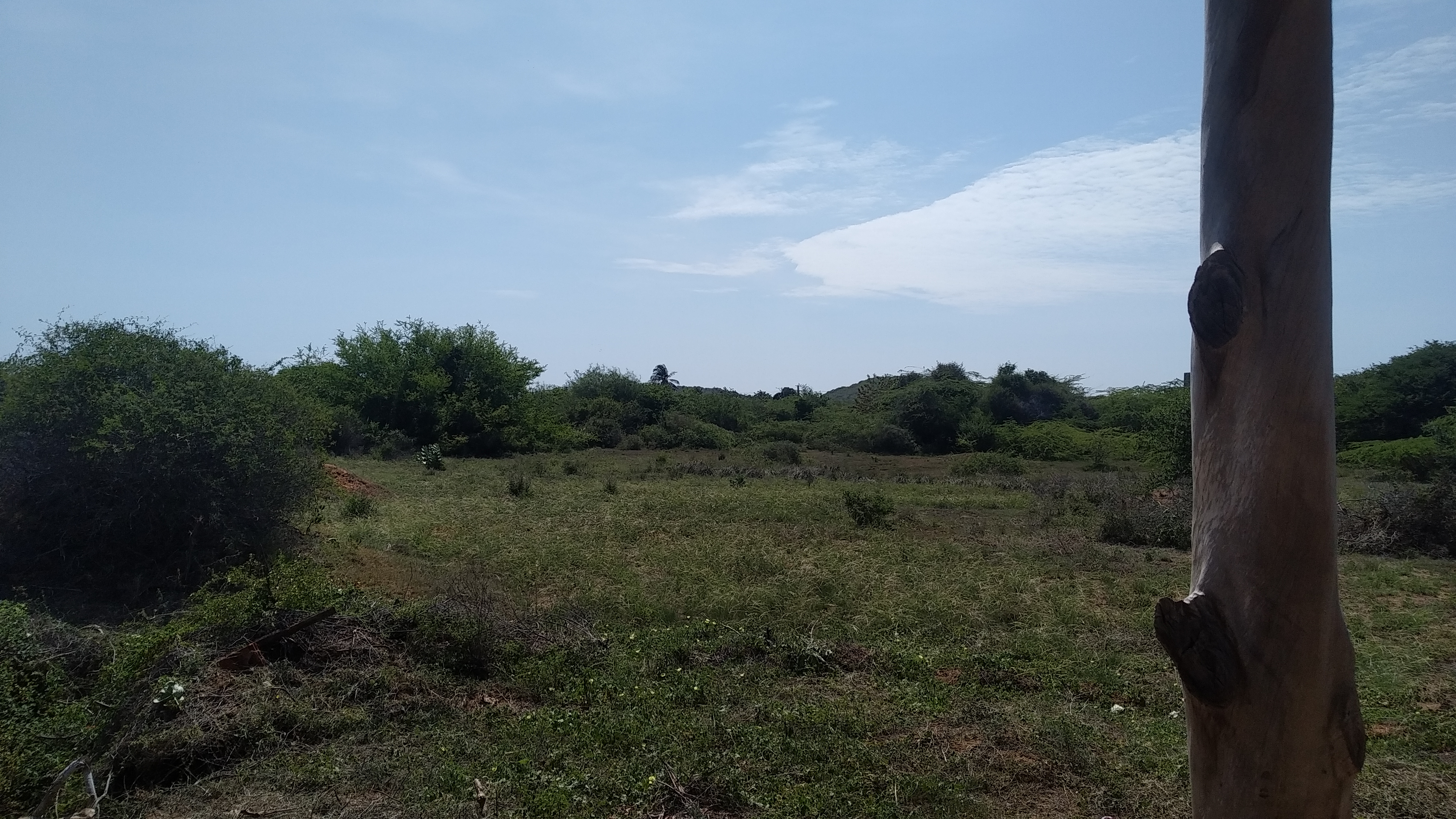 LAND WITH GOODNESS, IN LA MIRA SECTOR.