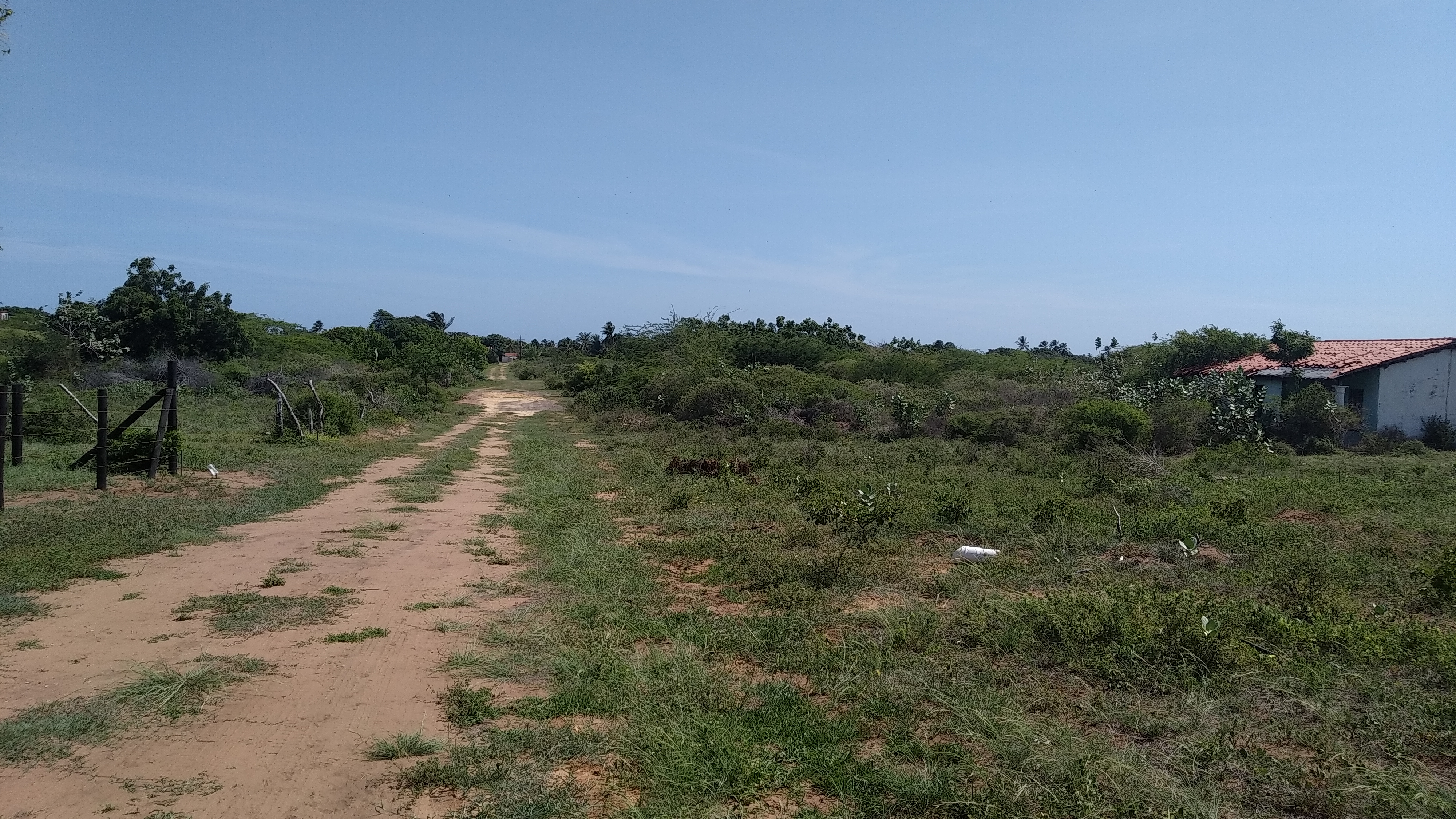 LAND WITH GOODNESS, IN LA MIRA SECTOR.