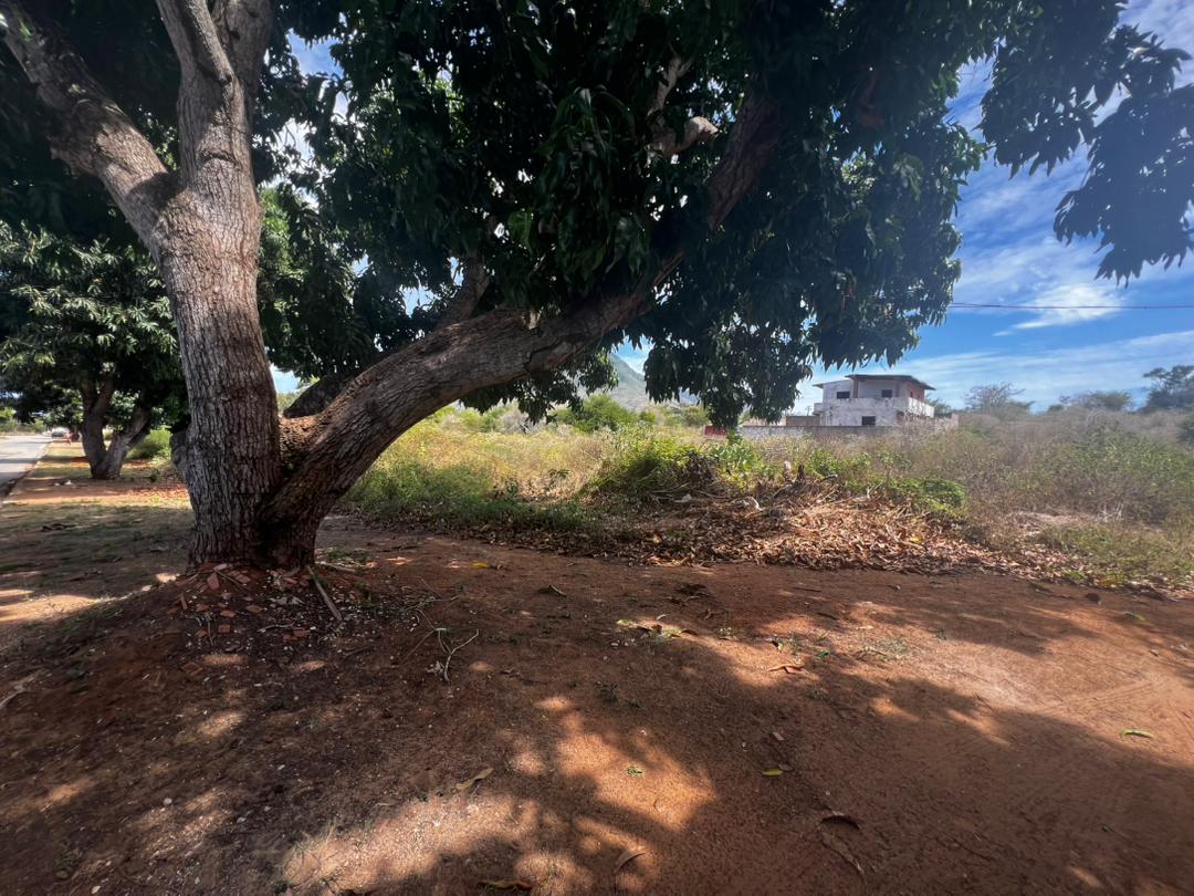 Terreno en venta Sector Loma de Guerra